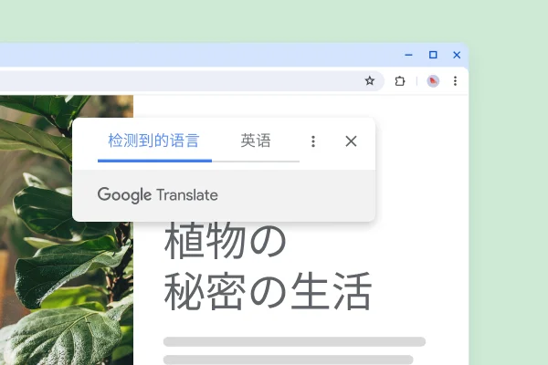 网站上显示了一些植物,以及翻译后的文字:“The secret life of plants”(植物的秘密生命)